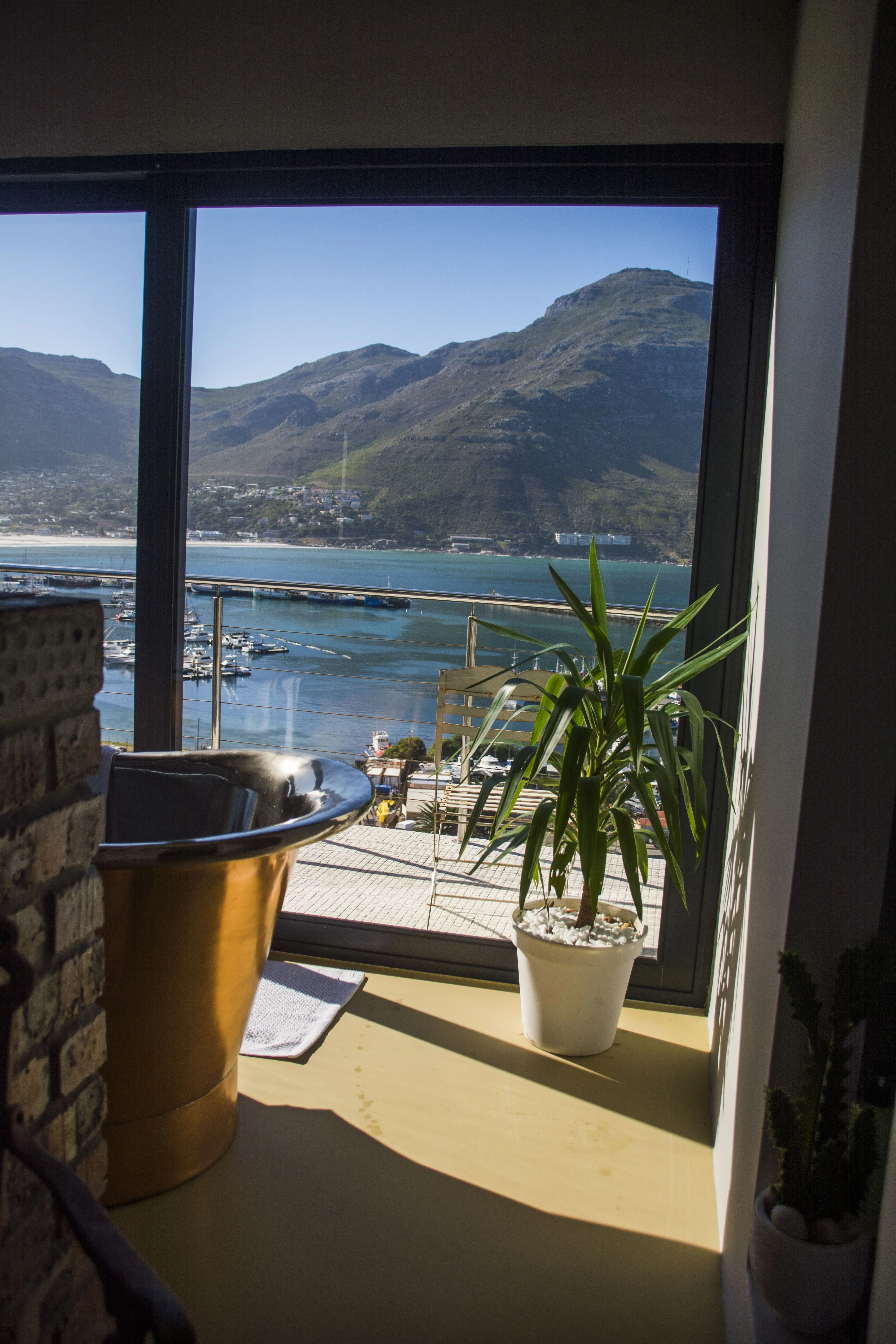 Authentic South African character — Constantia vineyards, Cape Town harbour