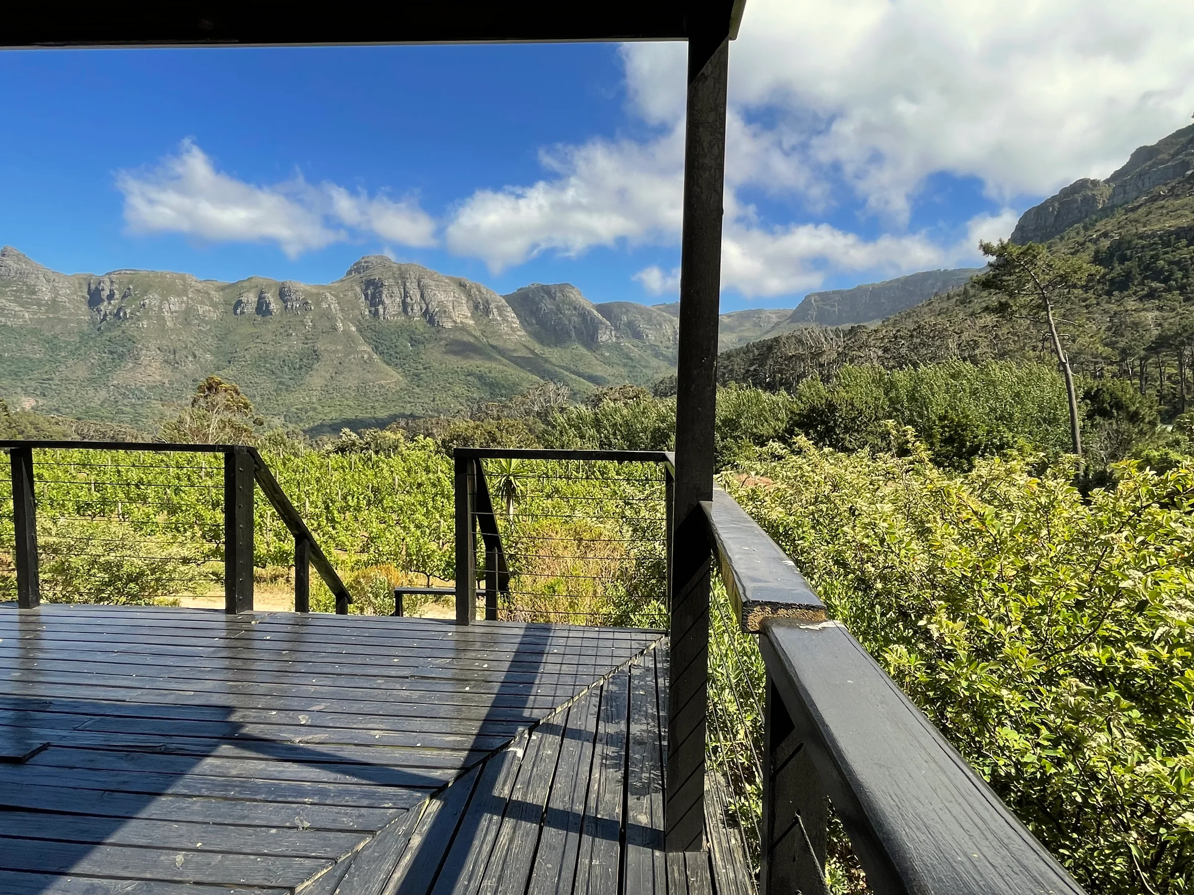 Working Wine Farm